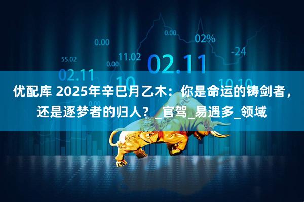 优配库 2025年辛巳月乙木：你是命运的铸剑者，还是逐梦者的归人？_官驾_易遇多_领域