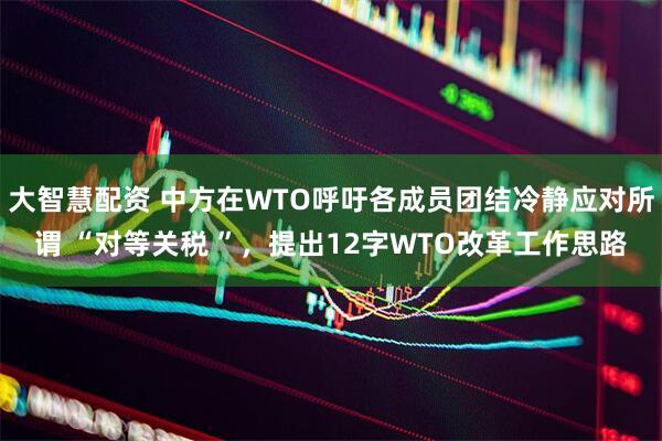 大智慧配资 中方在WTO呼吁各成员团结冷静应对所谓 “对等关税 ”，提出12字WTO改革工作思路