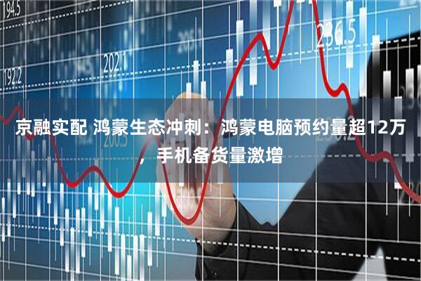 京融实配 鸿蒙生态冲刺：鸿蒙电脑预约量超12万，手机备货量激增