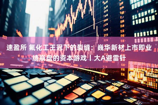 速盈所 氟化工王冠下的裂缝：巍华新材上市即业绩崩盘的资本游戏丨大A避雷针