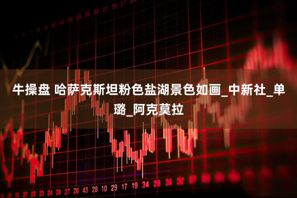 牛操盘 哈萨克斯坦粉色盐湖景色如画_中新社_单璐_阿克莫拉
