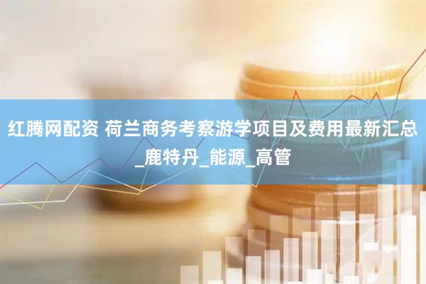 红腾网配资 荷兰商务考察游学项目及费用最新汇总_鹿特丹_能源_高管