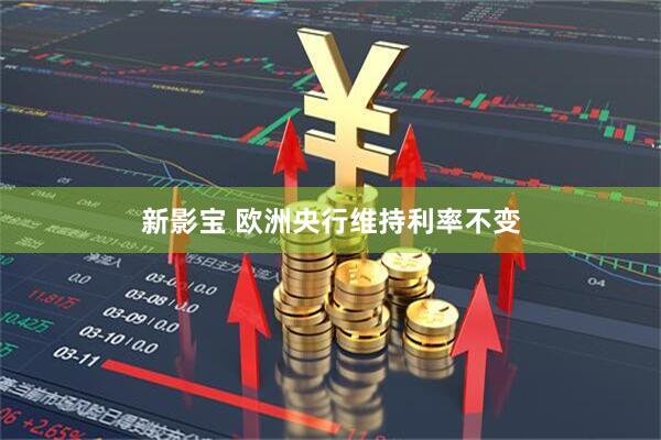 新影宝 欧洲央行维持利率不变