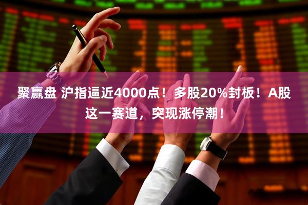 聚赢盘 沪指逼近4000点!多股20%封板!A股这一赛道,突现涨停潮!