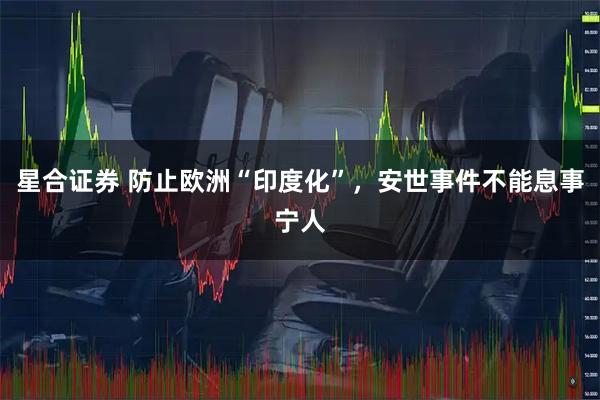 星合证券 防止欧洲“印度化”，安世事件不能息事宁人