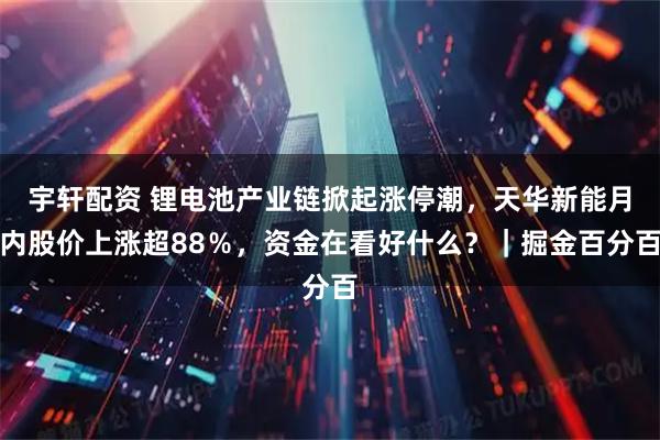 宇轩配资 锂电池产业链掀起涨停潮，天华新能月内股价上涨超88％，资金在看好什么？｜掘金百分百