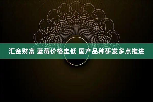 汇金财富 蓝莓价格走低 国产品种研发多点推进