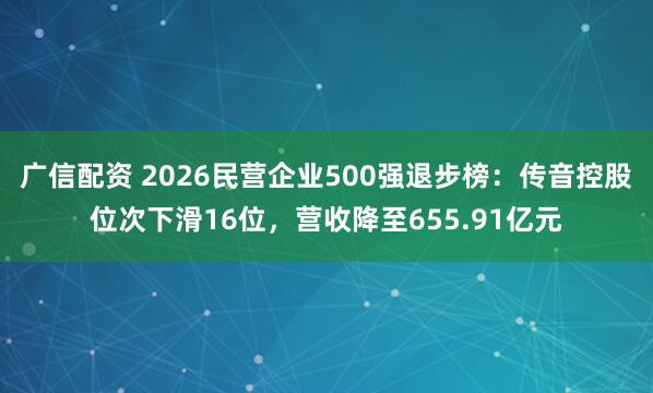 广信配资 2026民营企业500强退步榜：传音控股位次下滑16位，营收降至655.91亿元